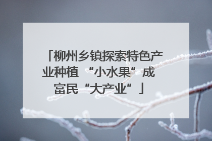 柳州乡镇探索特色产业种植 “小水果”成富民“大产业”