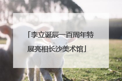 李立诞辰一百周年特展亮相长沙美术馆