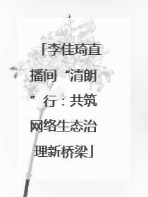 李佳琦直播间“清朗”行：共筑网络生态治理新桥梁