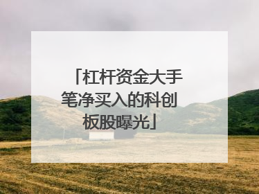 杠杆资金大手笔净买入的科创板股曝光