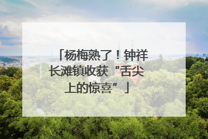 杨梅熟了！钟祥长滩镇收获“舌尖上的惊喜”