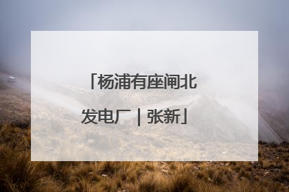 杨浦有座闸北发电厂｜张新