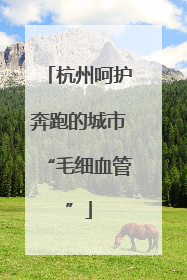 杭州呵护奔跑的城市“毛细血管”