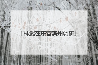 林武在东营滨州调研
