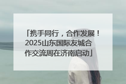 携手同行，合作发展！2025山东国际友城合作交流周在济南启动
