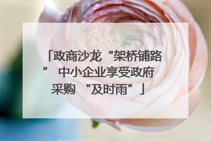 政商沙龙“架桥铺路” 中小企业享受政府采购 “及时雨”