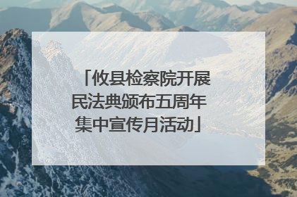 攸县检察院开展民法典颁布五周年集中宣传月活动