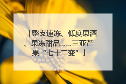 整支速冻、低度果酒、果冻甜品……三亚芒果“七十二变”