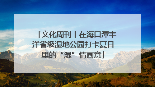 文化周刊丨在海口潭丰洋省级湿地公园打卡夏日里的“湿”情画意