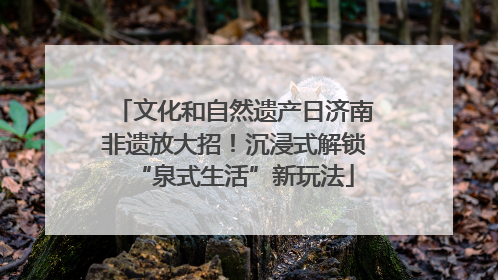 文化和自然遗产日济南非遗放大招！沉浸式解锁“泉式生活”新玩法