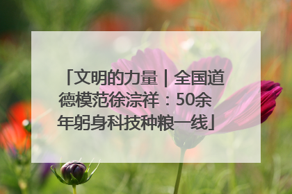 文明的力量｜全国道德模范徐淙祥：50余年躬身科技种粮一线