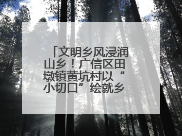 文明乡风浸润山乡！广信区田墩镇黄坑村以“小切口”绘就乡村振兴大图景
