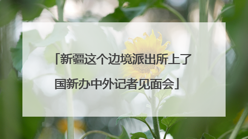 新疆这个边境派出所上了国新办中外记者见面会