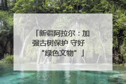 新疆阿拉尔：加强古树保护 守好“绿色文物”