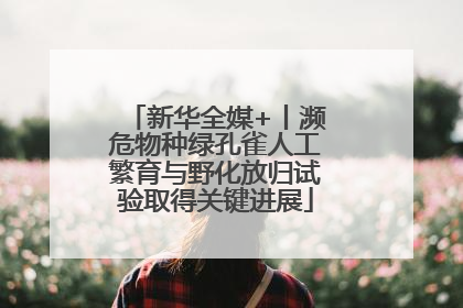 新华全媒+丨濒危物种绿孔雀人工繁育与野化放归试验取得关键进展