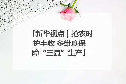 新华视点｜抢农时 护丰收 多维度保障“三夏”生产