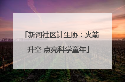 新河社区计生协：火箭升空 点亮科学童年