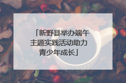 新野县举办端午主题实践活动助力青少年成长