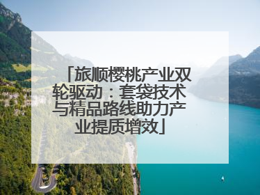 旅顺樱桃产业双轮驱动：套袋技术与精品路线助力产业提质增效