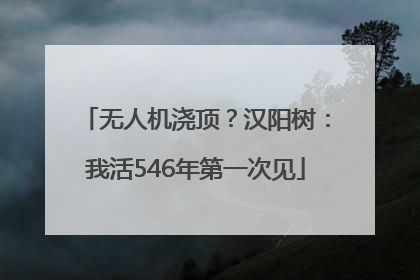 无人机浇顶？汉阳树：我活546年第一次见