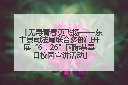 无毒青春更飞扬——东丰县司法局联合多部门开展“6．26”国际禁毒日校园宣讲活动