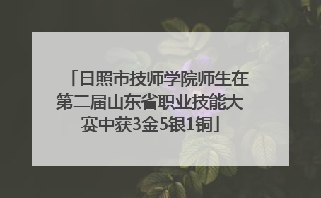 日照市技师学院师生在第二届山东省职业技能大赛中获3金5银1铜