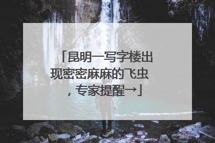 昆明一写字楼出现密密麻麻的飞虫，专家提醒→