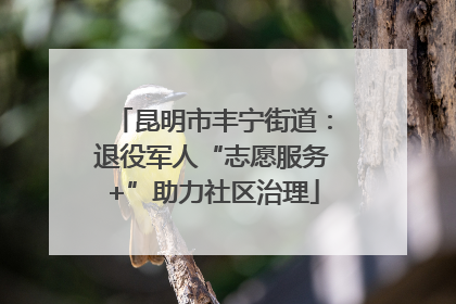 昆明市丰宁街道：退役军人“志愿服务+”助力社区治理