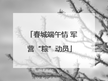 春城端午情 军营“粽”动员