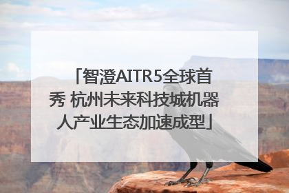 智澄AITR5全球首秀 杭州未来科技城机器人产业生态加速成型