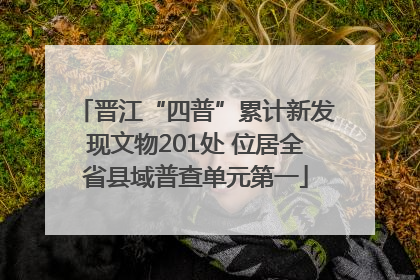 晋江“四普”累计新发现文物201处 位居全省县域普查单元第一