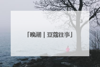 晚潮｜豆蔻往事