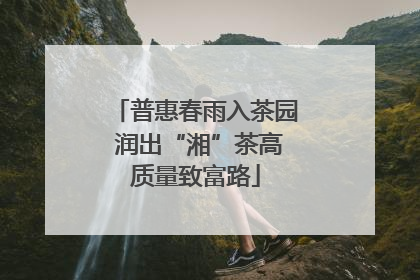 普惠春雨入茶园 润出“湘”茶高质量致富路