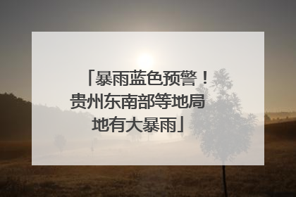 暴雨蓝色预警！贵州东南部等地局地有大暴雨
