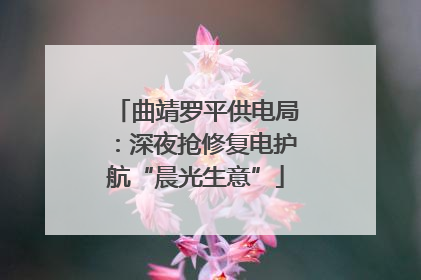 曲靖罗平供电局：深夜抢修复电护航“晨光生意”