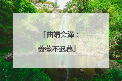 曲靖会泽：蔷薇不迟暮
