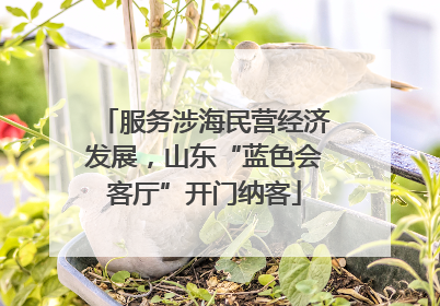 服务涉海民营经济发展，山东“蓝色会客厅”开门纳客