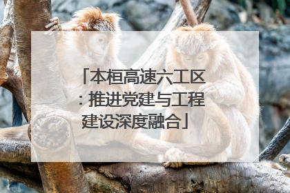 本桓高速六工区：推进党建与工程建设深度融合