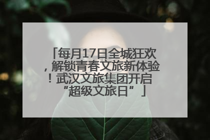 每月17日全城狂欢，解锁青春文旅新体验！武汉文旅集团开启 “超级文旅日”