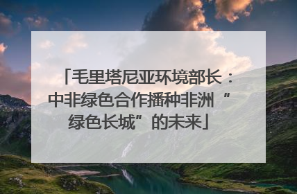 毛里塔尼亚环境部长：中非绿色合作播种非洲“绿色长城”的未来