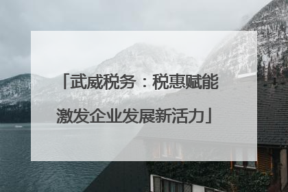武威税务：税惠赋能 激发企业发展新活力