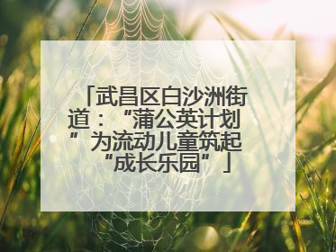 武昌区白沙洲街道：“蒲公英计划”为流动儿童筑起“成长乐园”