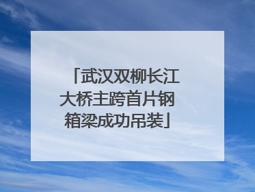 武汉双柳长江大桥主跨首片钢箱梁成功吊装