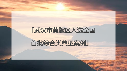 武汉市黄陂区入选全国首批综合类典型案例