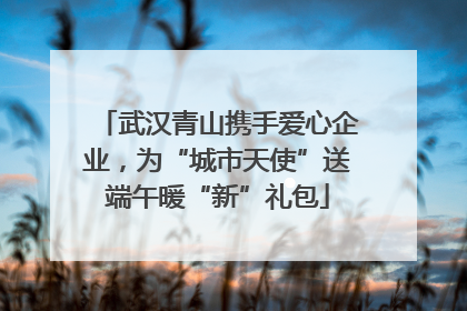 武汉青山携手爱心企业，为“城市天使”送端午暖“新”礼包