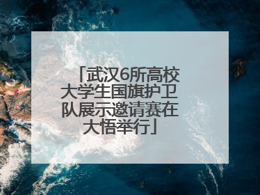 武汉6所高校大学生国旗护卫队展示邀请赛在大悟举行