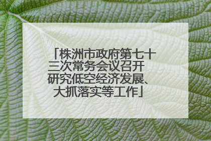 株洲市政府第七十三次常务会议召开 研究低空经济发展、大抓落实等工作