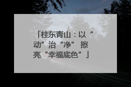 桂东青山：以“动”治“净” 擦亮“幸福底色”