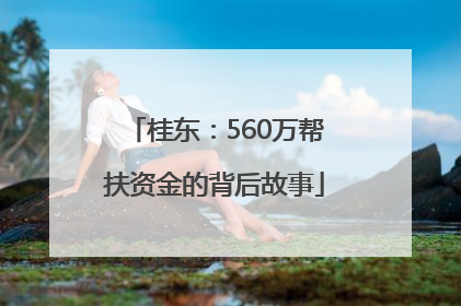 桂东：560万帮扶资金的背后故事