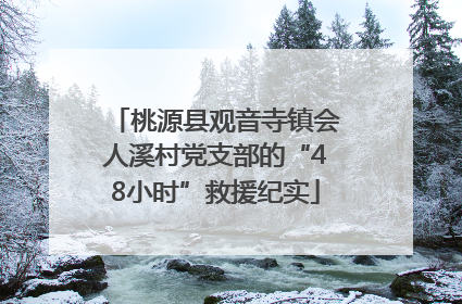 桃源县观音寺镇会人溪村党支部的“48小时”救援纪实